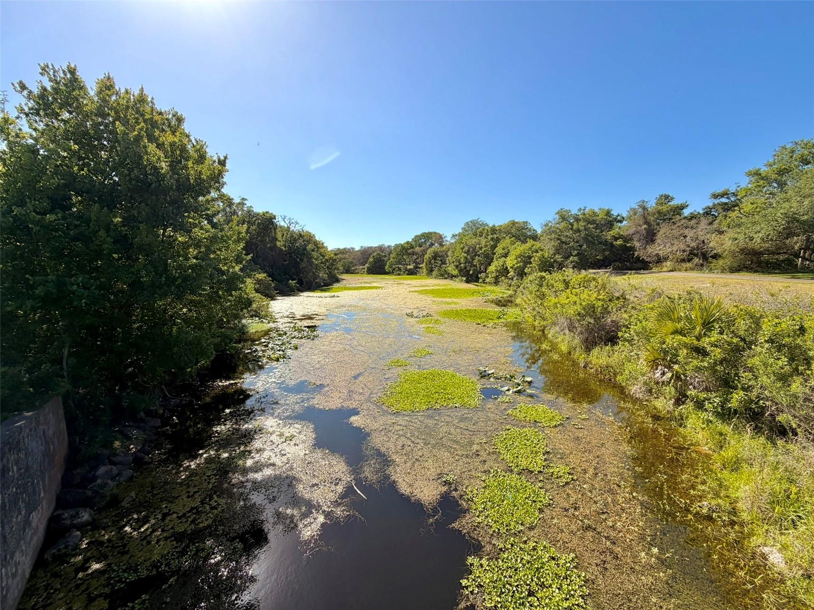 Image 32 of 39 For 1001 Brigadoon Drive