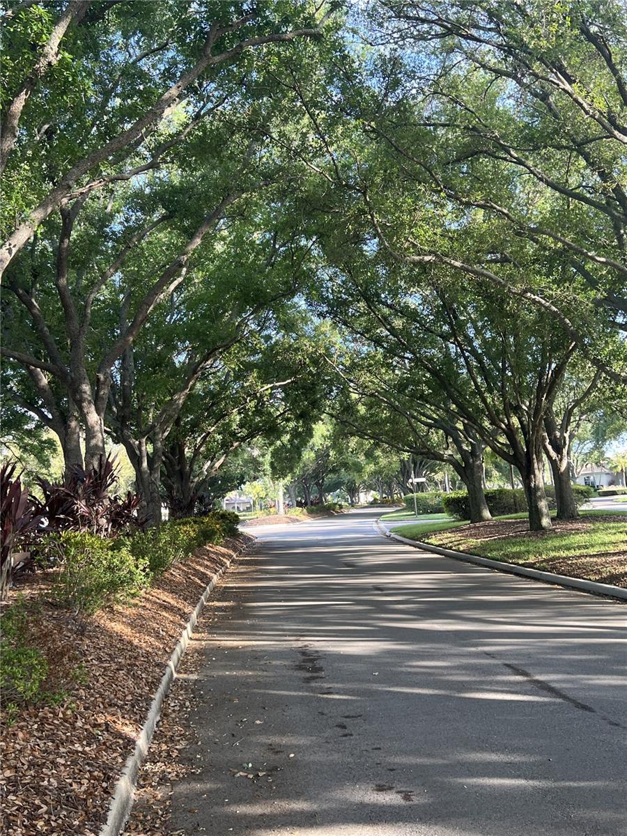 Image 4 of 29 For 360 Cedarbrook Court