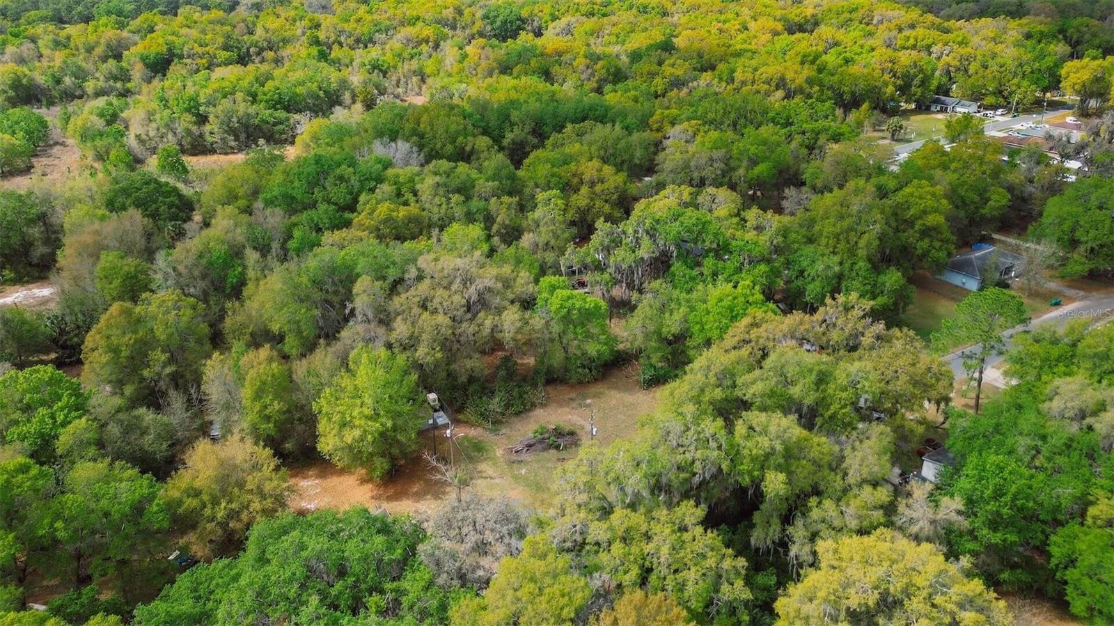 Image 29 of 46 For  Oak St  