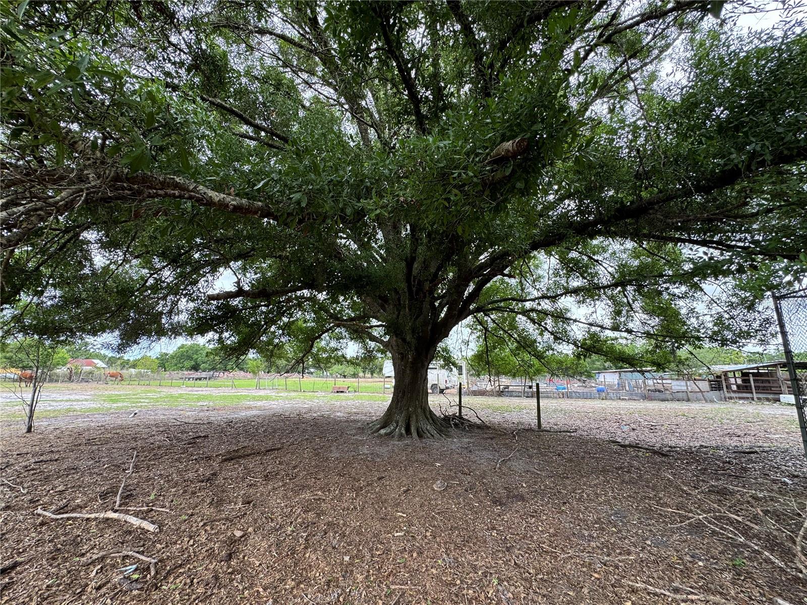 Details for 1804 Zipperer Road, BRADENTON, FL 34212