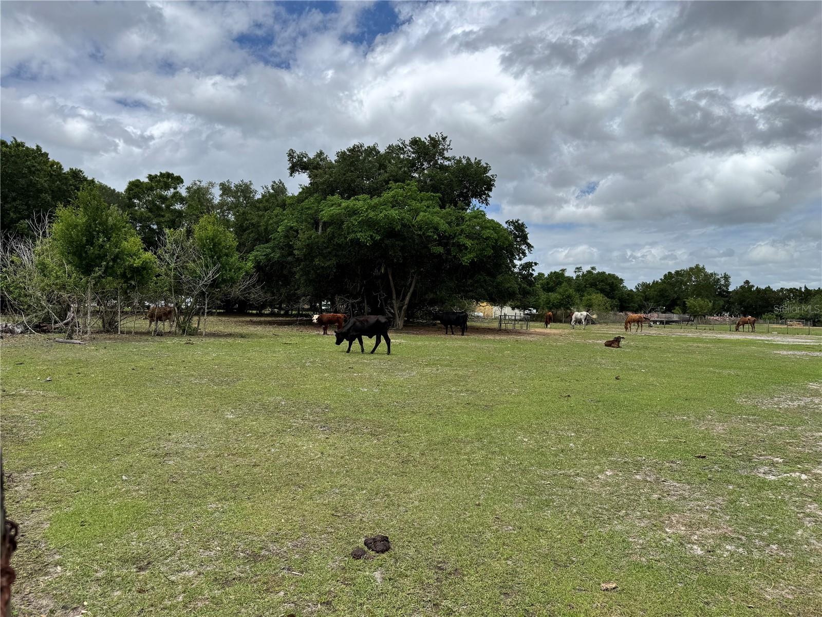 Image 2 of 9 For 1804 Zipperer Road