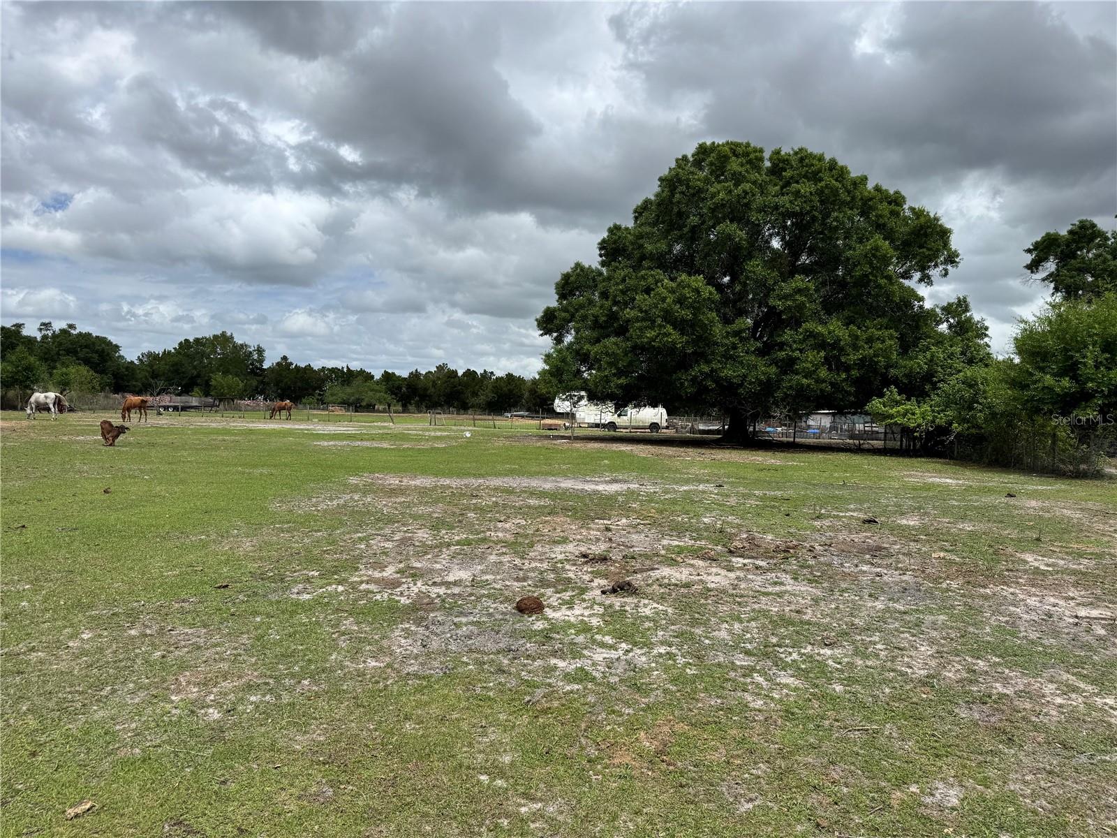 Image 3 of 9 For 1804 Zipperer Road