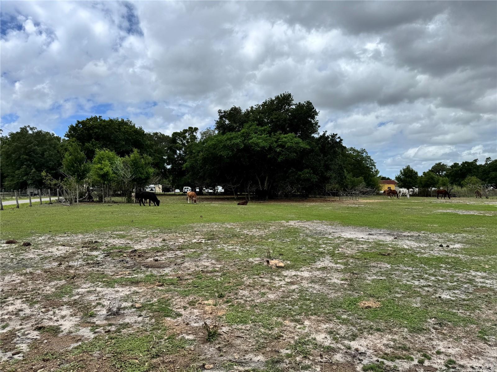 Image 4 of 9 For 1804 Zipperer Road