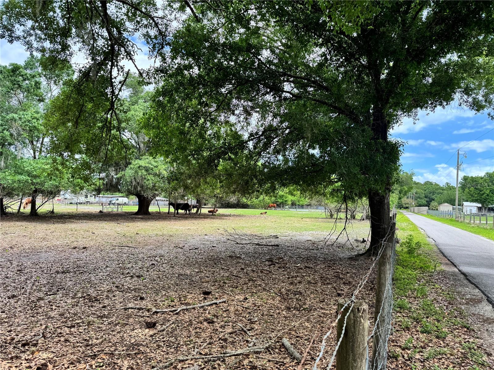 Image 5 of 9 For 1804 Zipperer Road