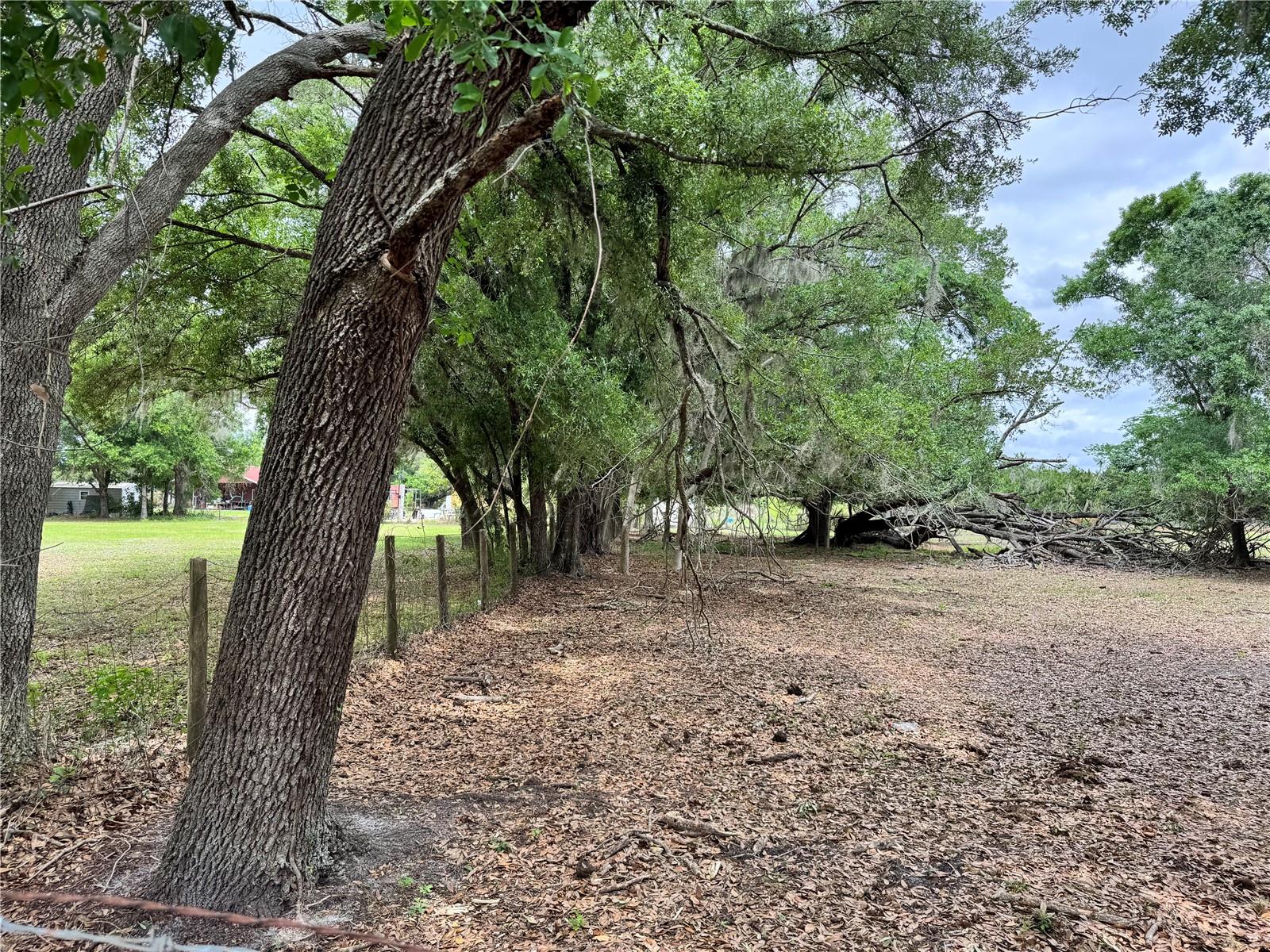 Image 6 of 9 For 1804 Zipperer Road