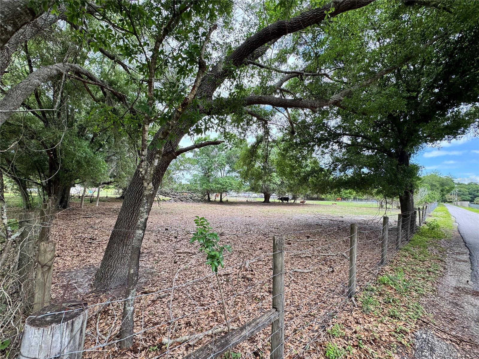 Image 7 of 9 For 1804 Zipperer Road