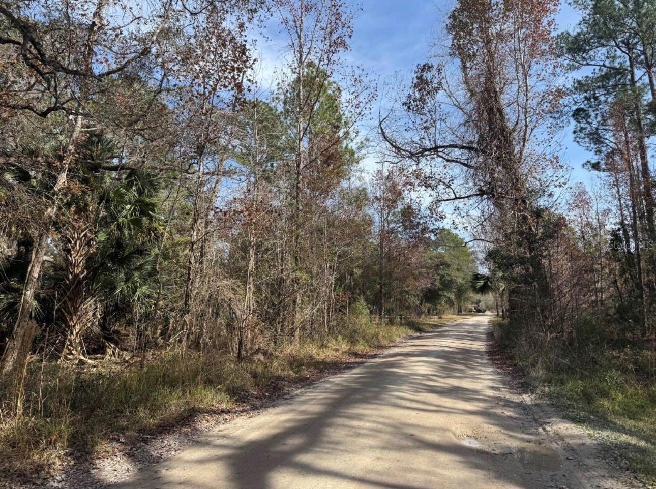 Listing Details for Undetermined, CITRA, FL 32113