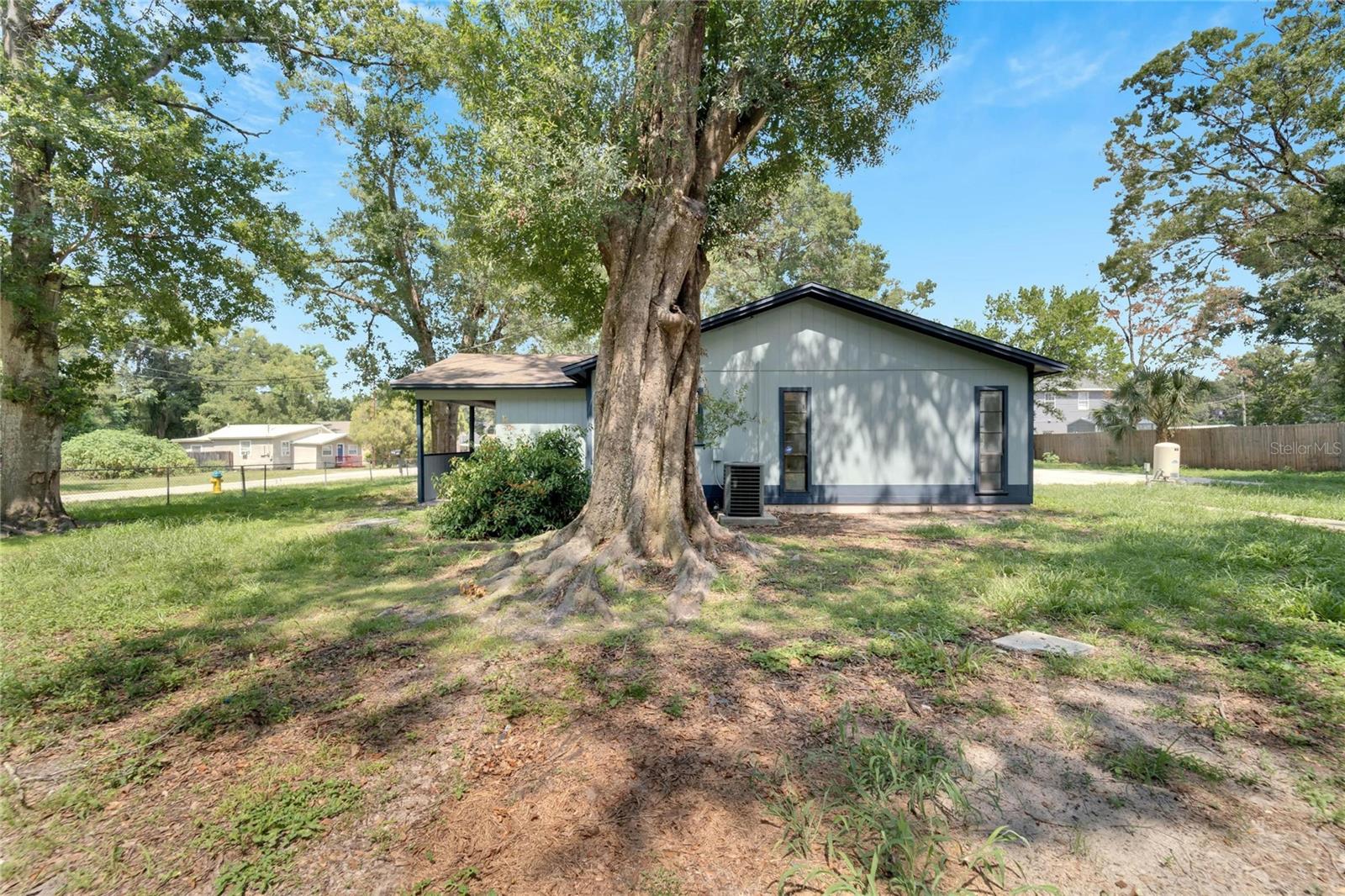 Listing photo id 23 for 502 Euclid Avenue