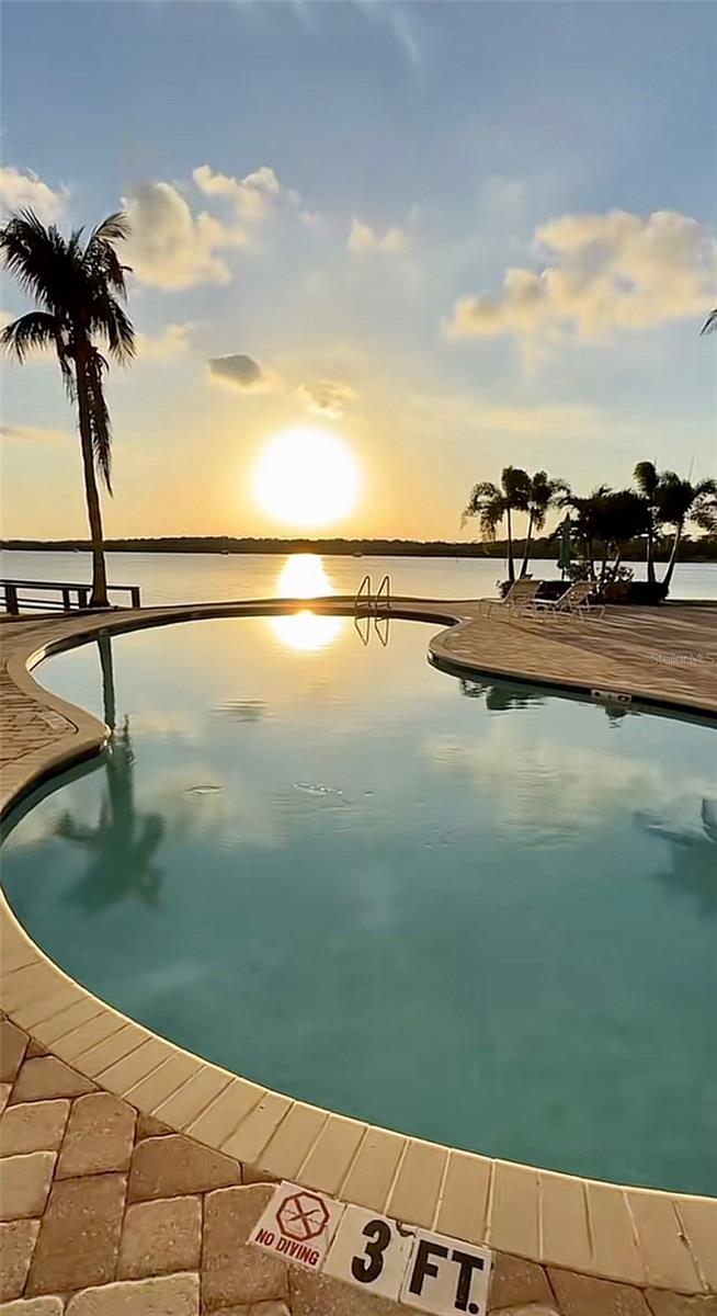 Image 39 of 43 For 8800 Bay Pines Boulevard 303