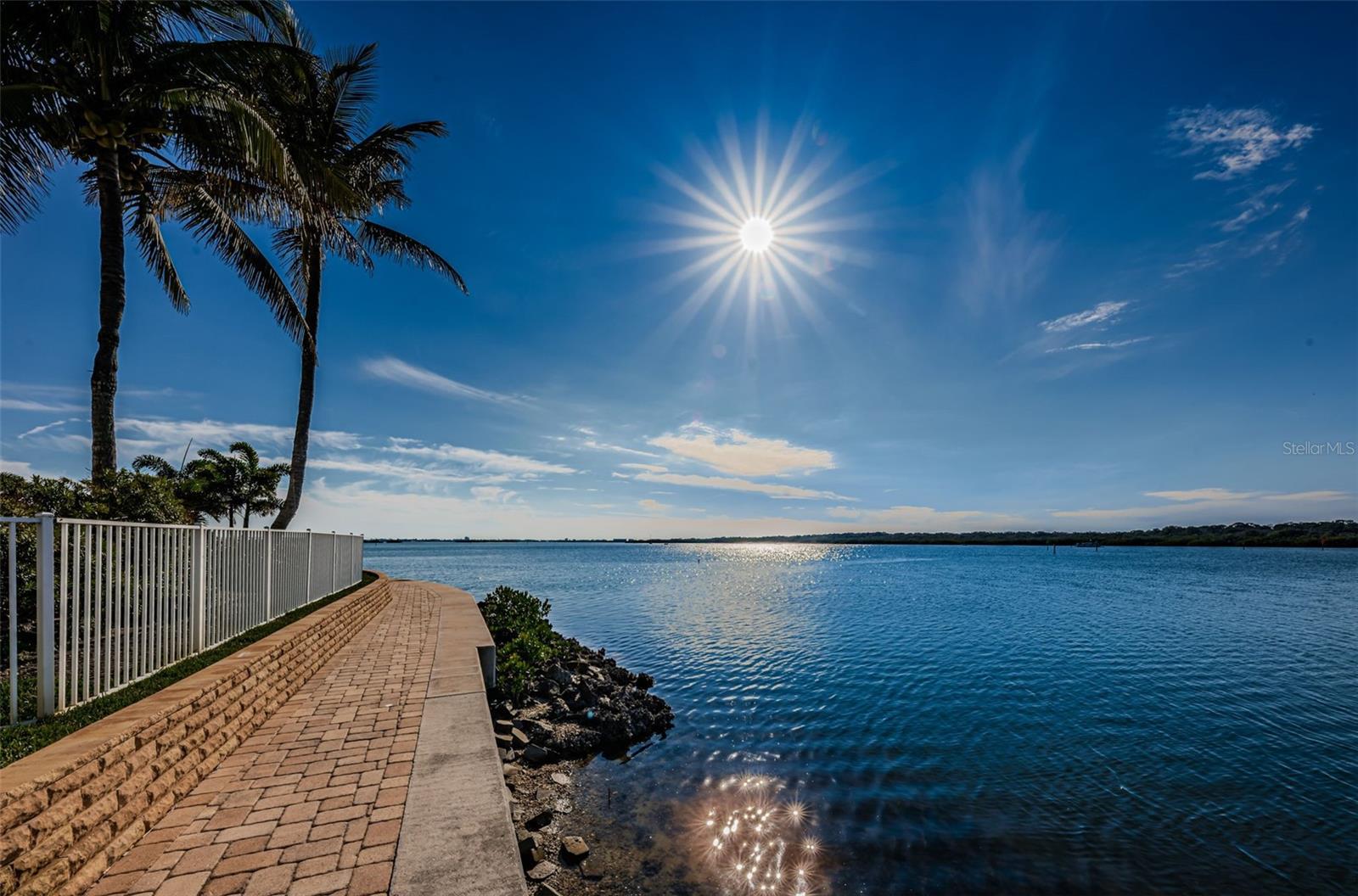 Image 40 of 43 For 8800 Bay Pines Boulevard 303