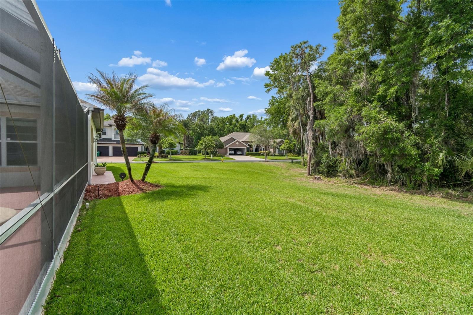 Listing photo id 39 for 2731 Blue Springs Place