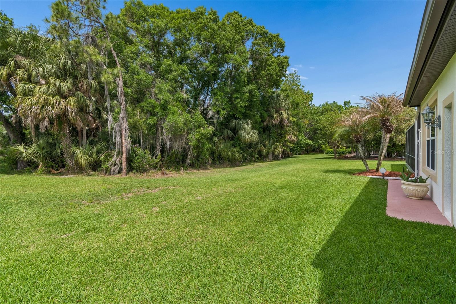 Listing photo id 42 for 2731 Blue Springs Place