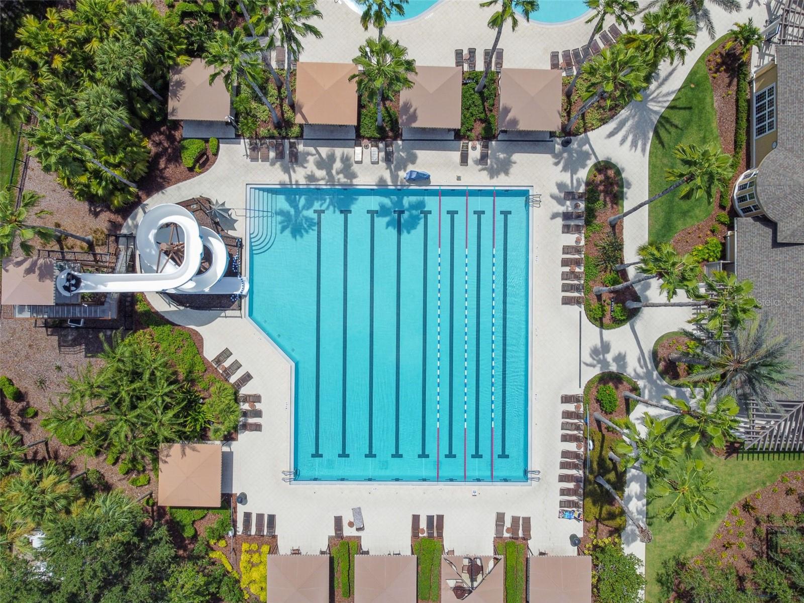 Listing photo id 82 for 2731 Blue Springs Place