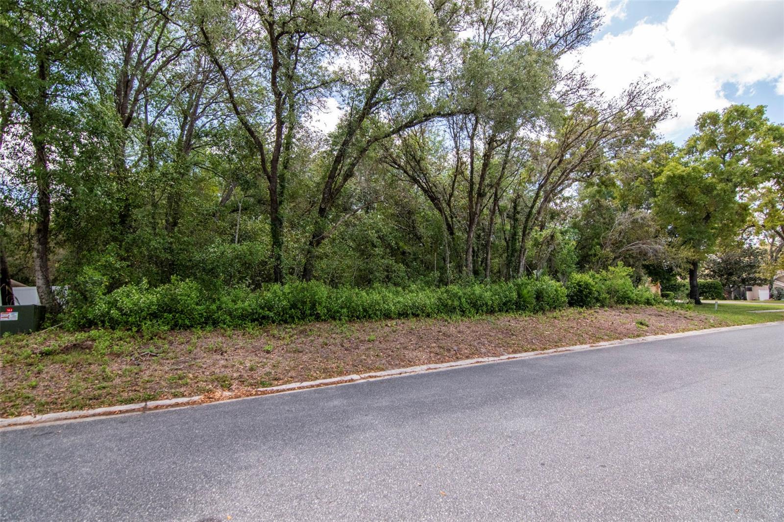 Listing photo id 11 for Lot 111 Winding Oaks Boulevard