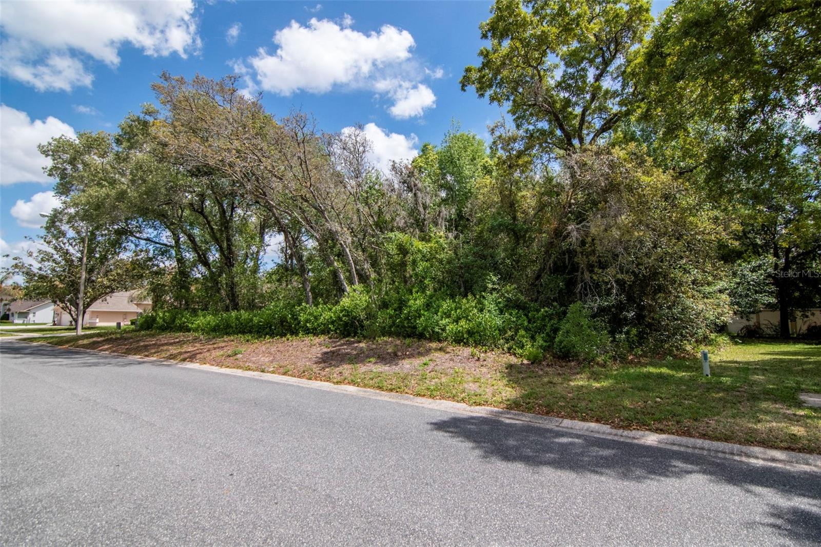 Listing photo id 16 for Lot 111 Winding Oaks Boulevard
