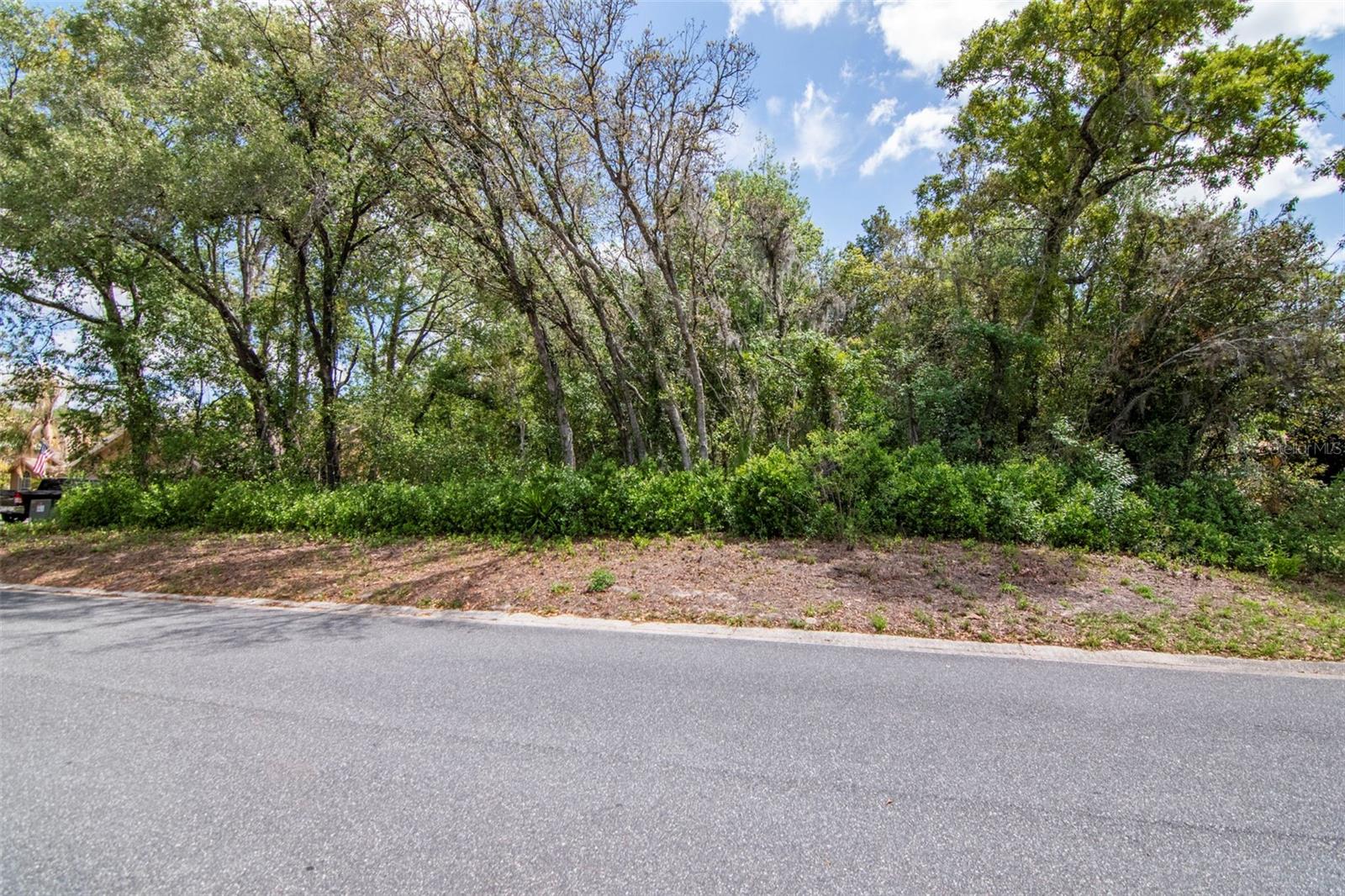 Listing photo id 2 for Lot 111 Winding Oaks Boulevard