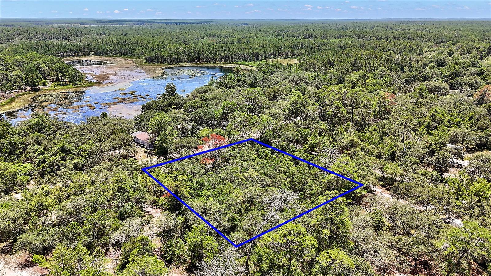 Details for 0 197th Avenue, OCKLAWAHA, FL 32179