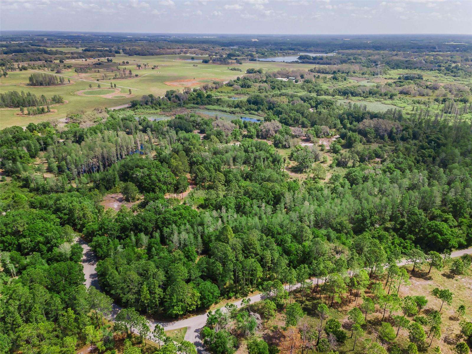 Image 56 of 77 For 548 Manisha Place