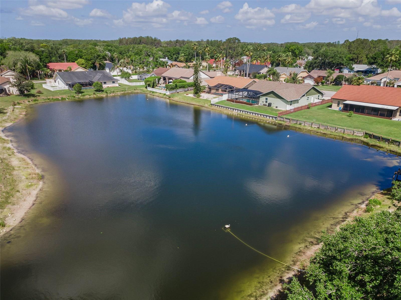 Image 63 of 77 For 548 Manisha Place