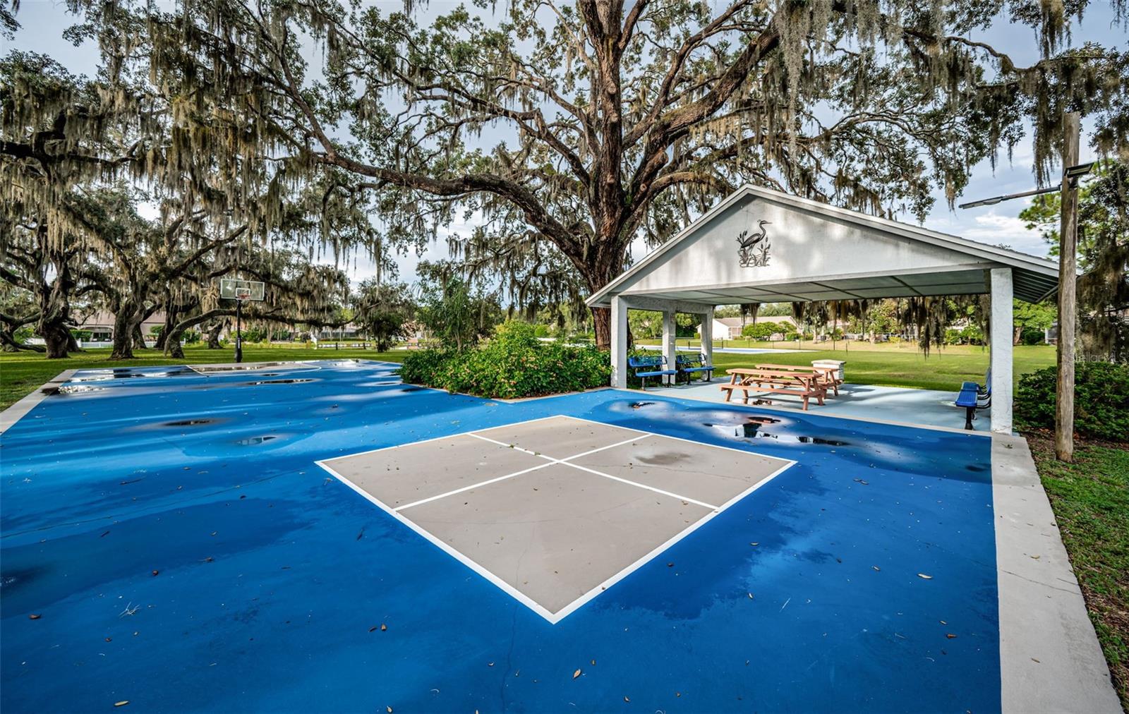 Image 71 of 77 For 548 Manisha Place