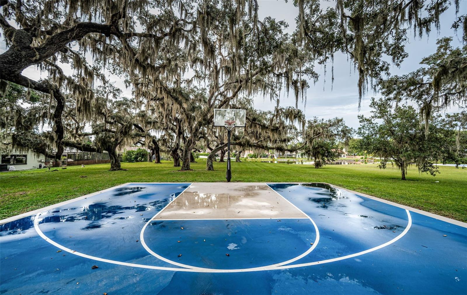 Image 72 of 77 For 548 Manisha Place