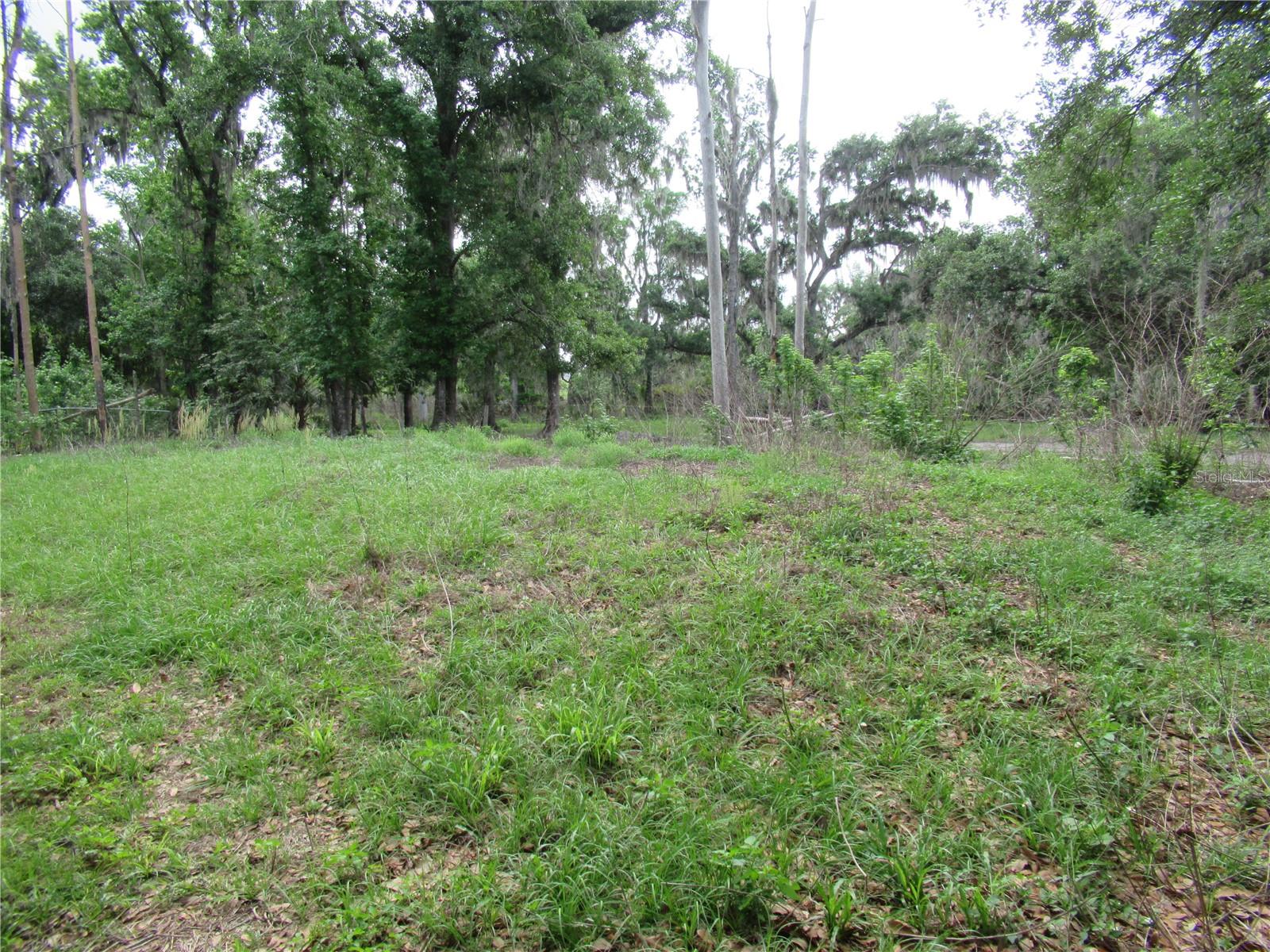 Listing photo id 4 for 7814 Turkey Creek Road