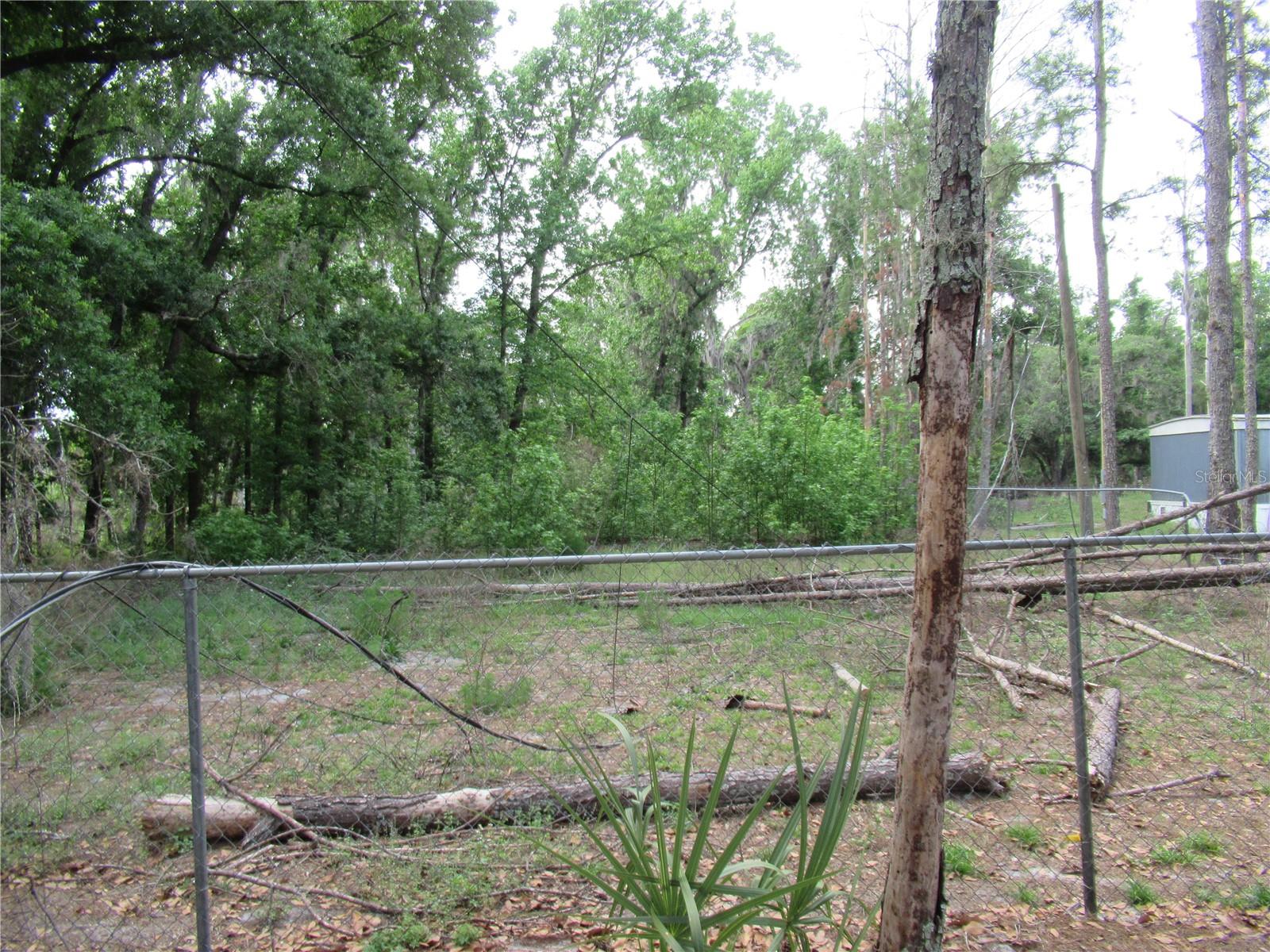 Listing photo id 5 for 7814 Turkey Creek Road