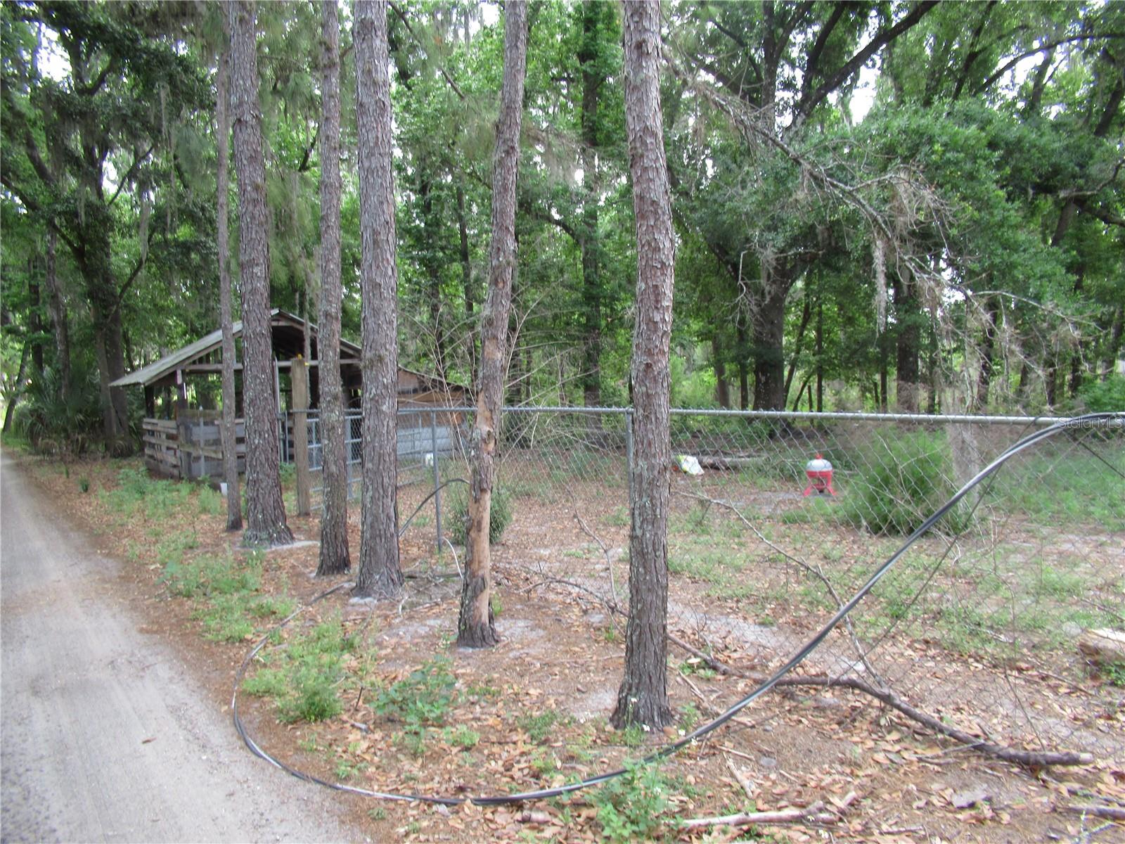 Listing photo id 6 for 7814 Turkey Creek Road