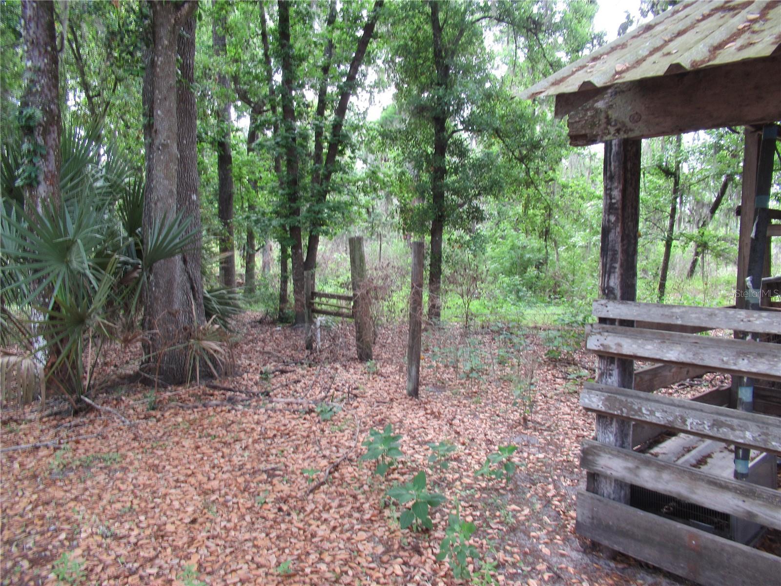 Listing photo id 7 for 7814 Turkey Creek Road