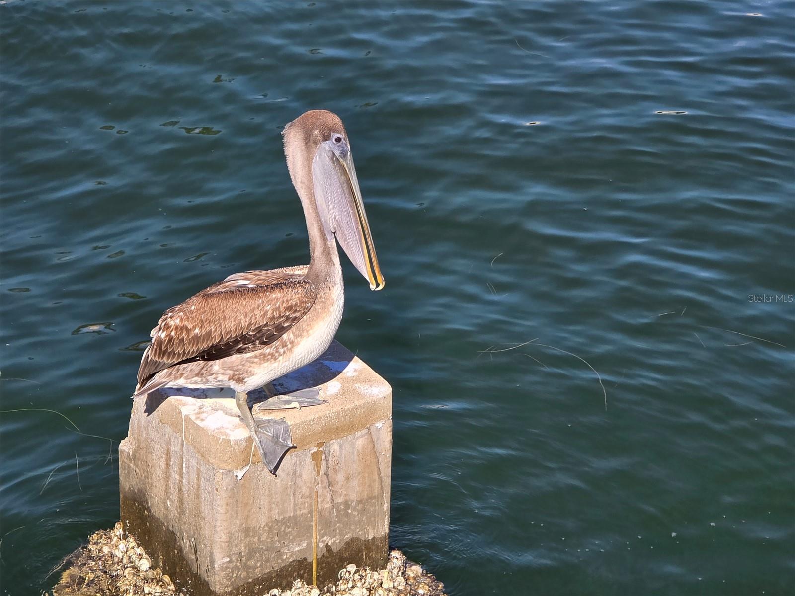 Image 29 of 31 For 2526 40th Avenue N