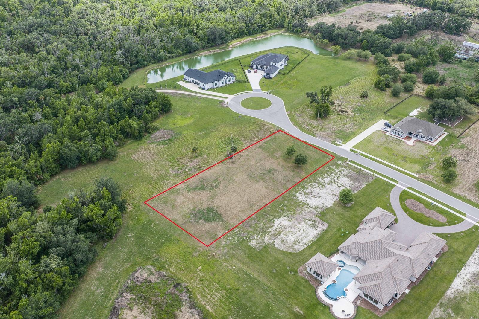 Image 5 of 9 For 15322 Fishhawk Heights Run