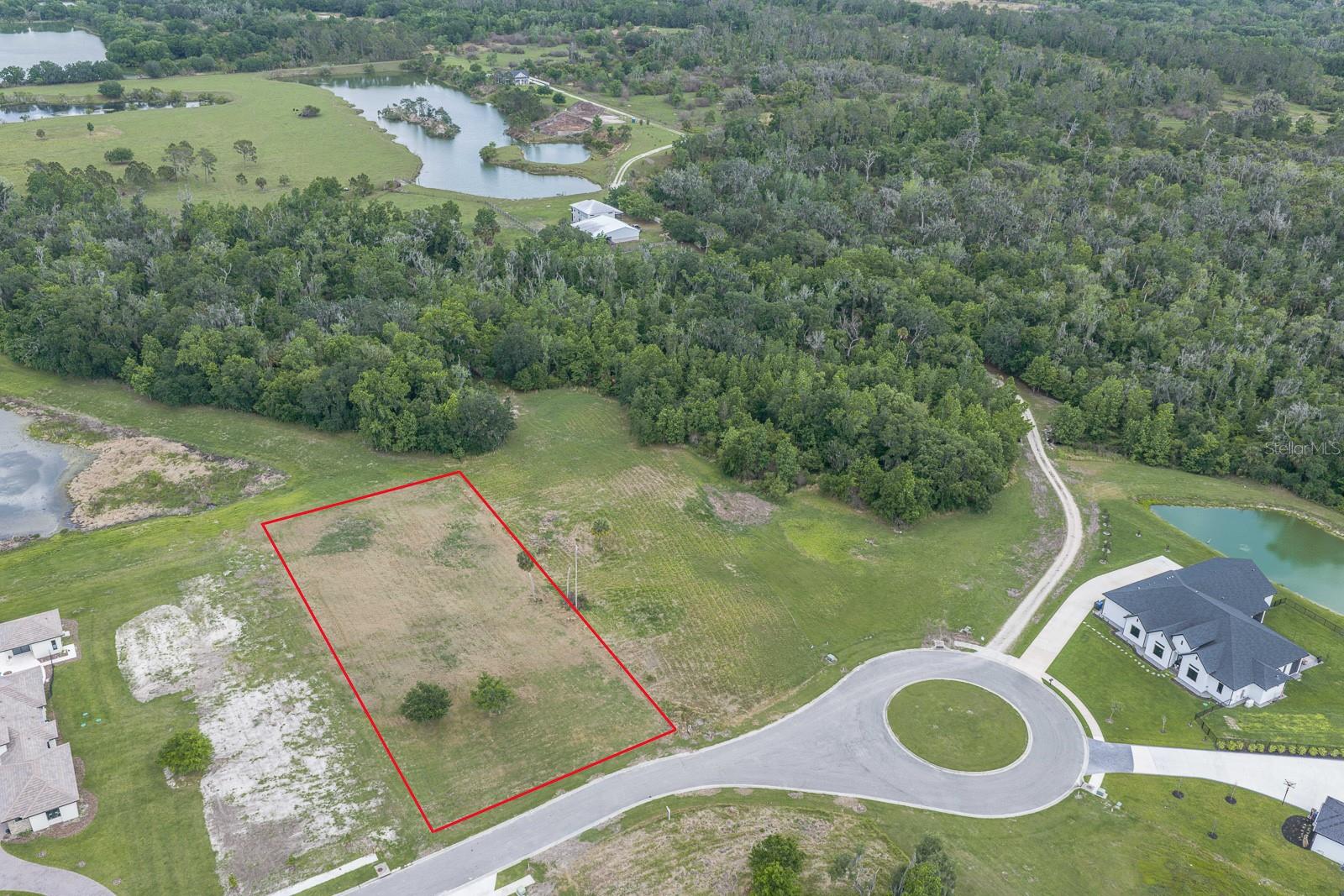 Image 6 of 9 For 15322 Fishhawk Heights Run