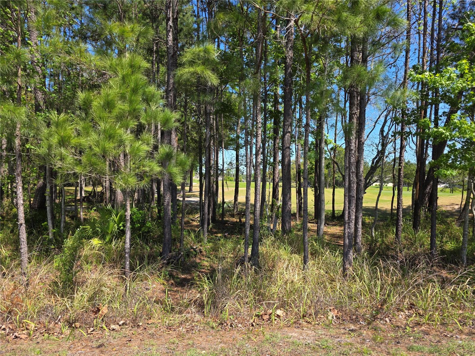 Image 4 of 14 For 5058 Diantha Way