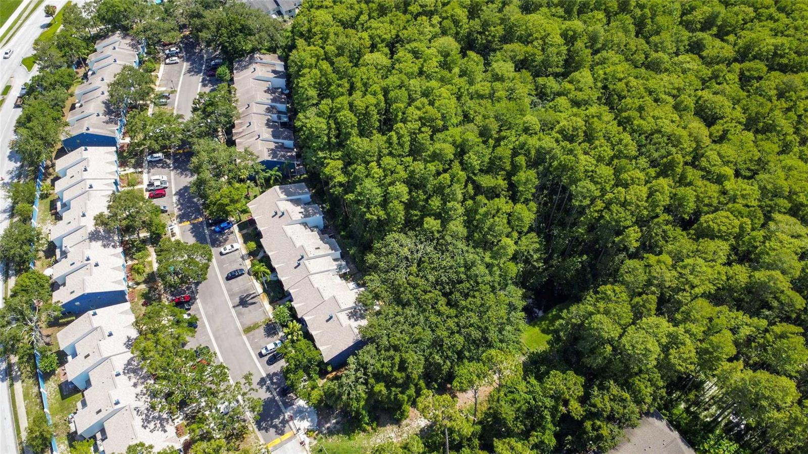 Image 44 of 44 For 3350 Fox Hunt Drive