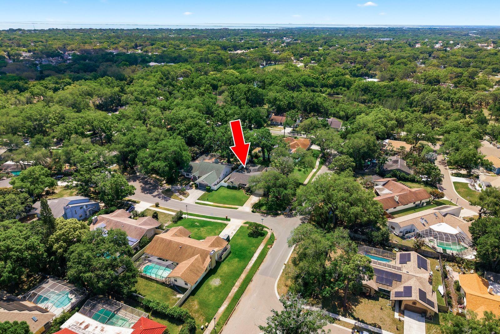 Listing photo id 42 for 1736 Pine Hill Court