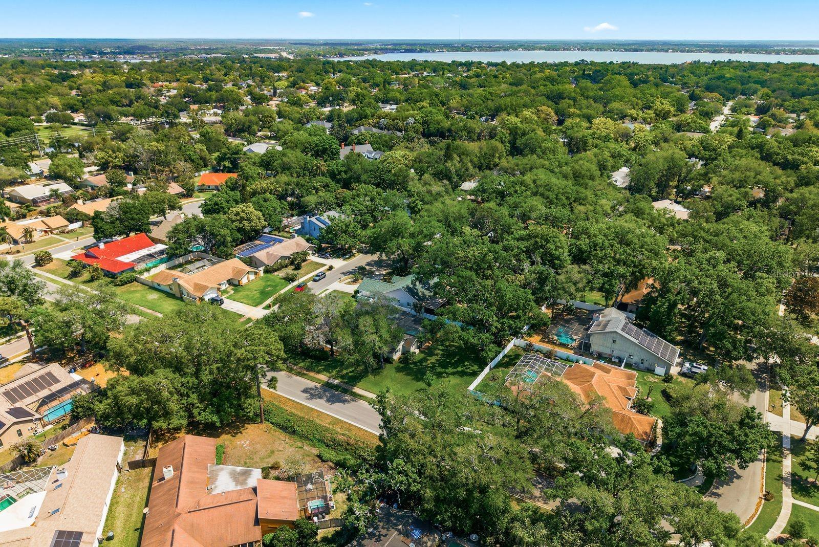 Listing photo id 44 for 1736 Pine Hill Court