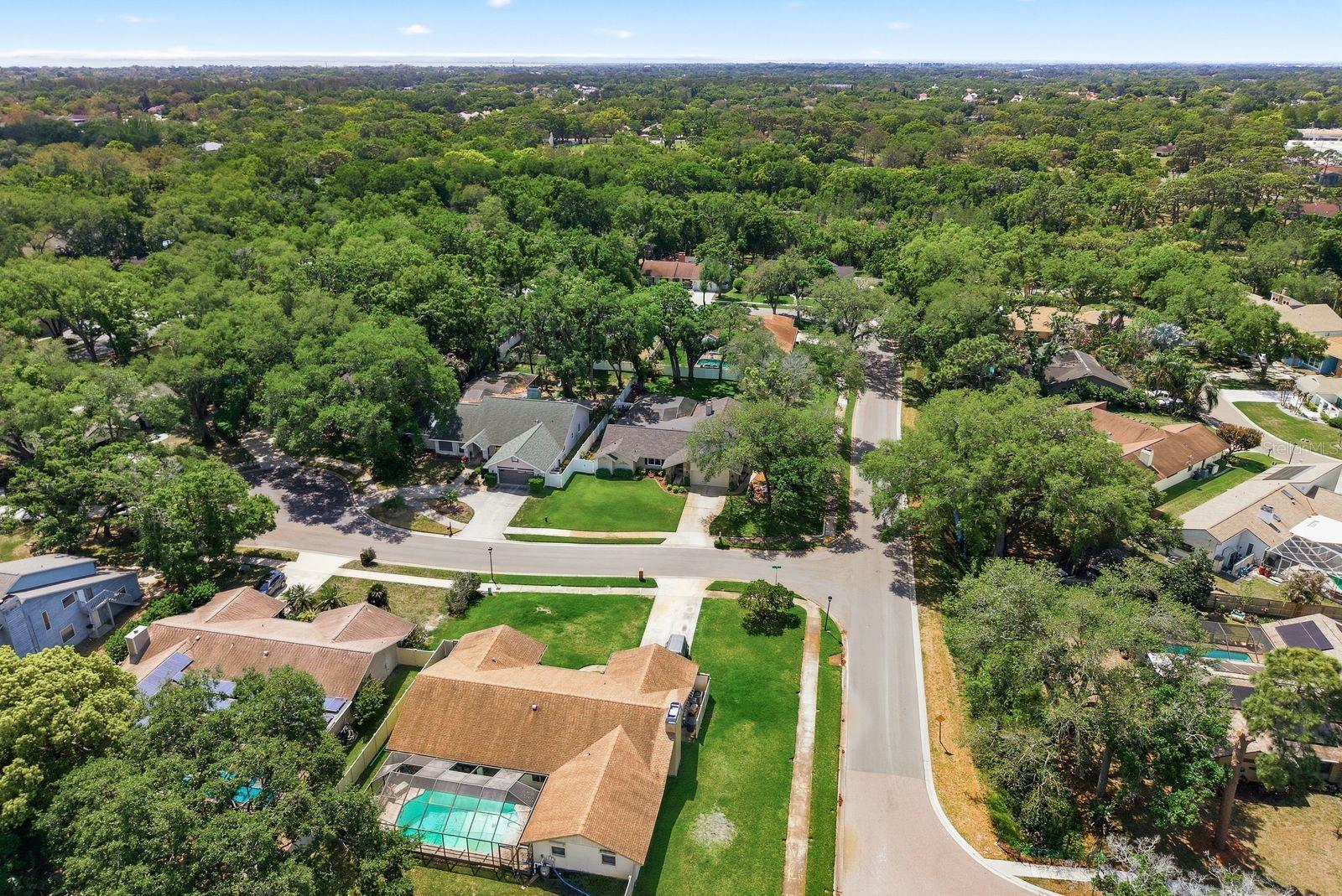 Listing photo id 46 for 1736 Pine Hill Court