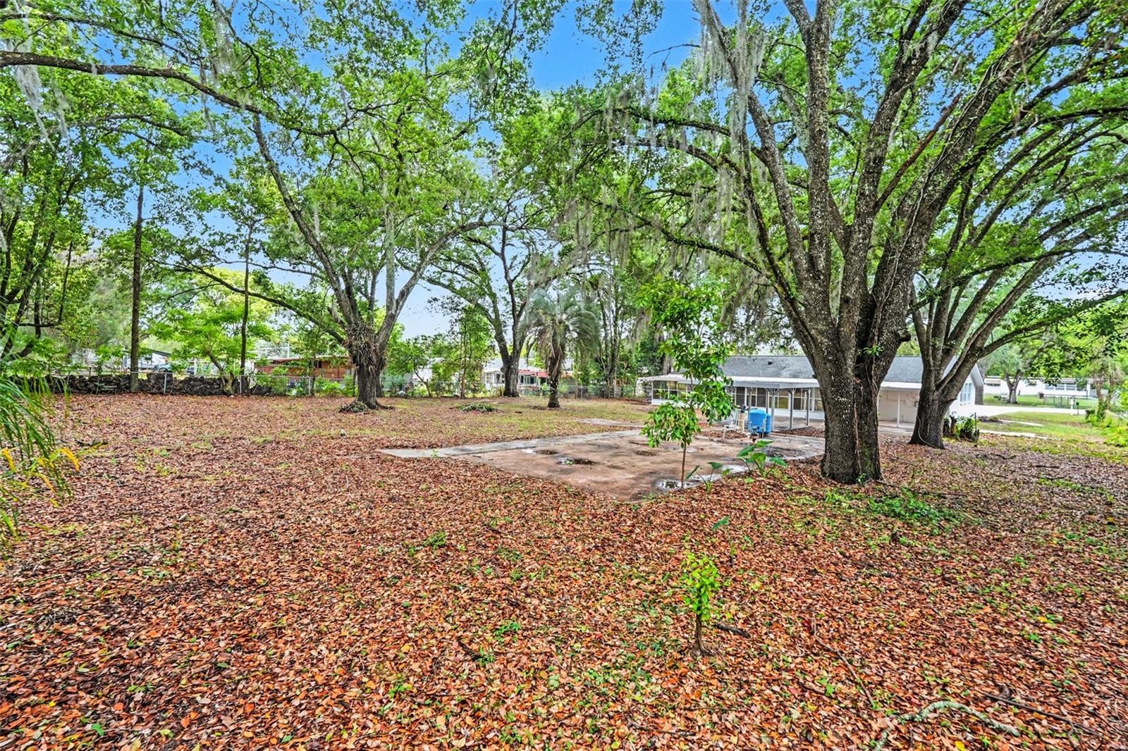 Image 43 of 53 For 7310 Fort King Road