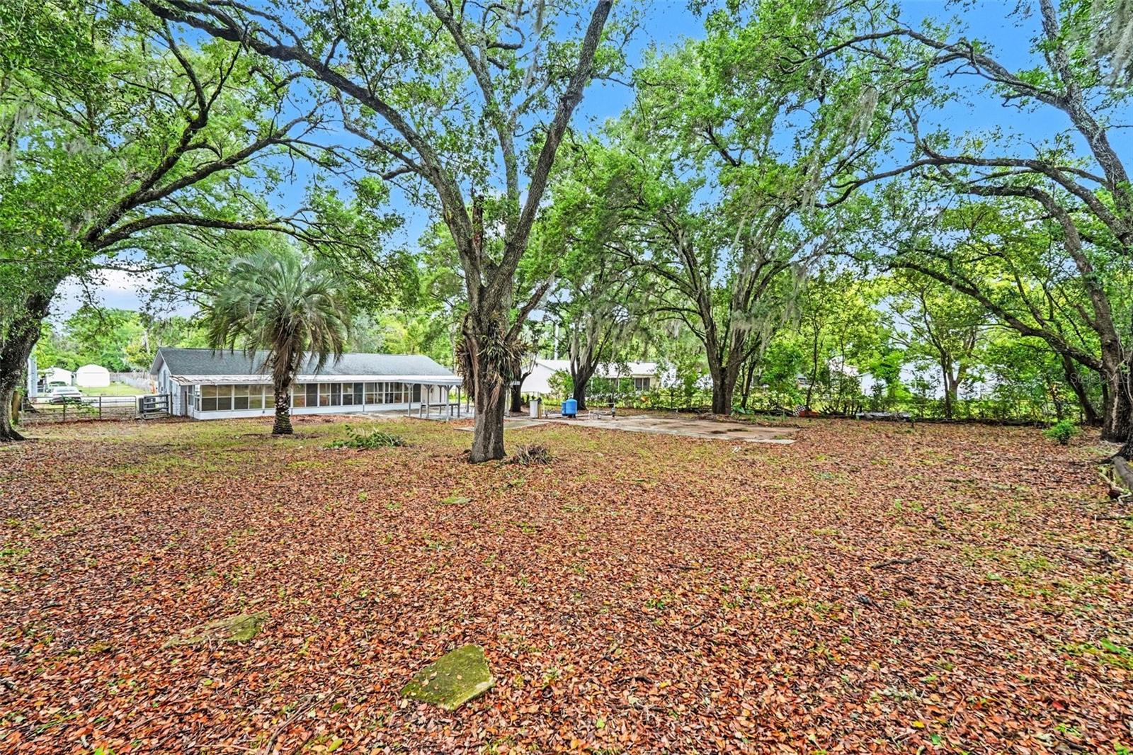 Image 45 of 53 For 7310 Fort King Road