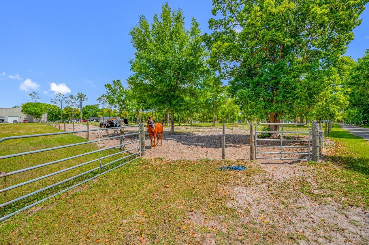 Listing photo id 24 for 00 Hanna Road