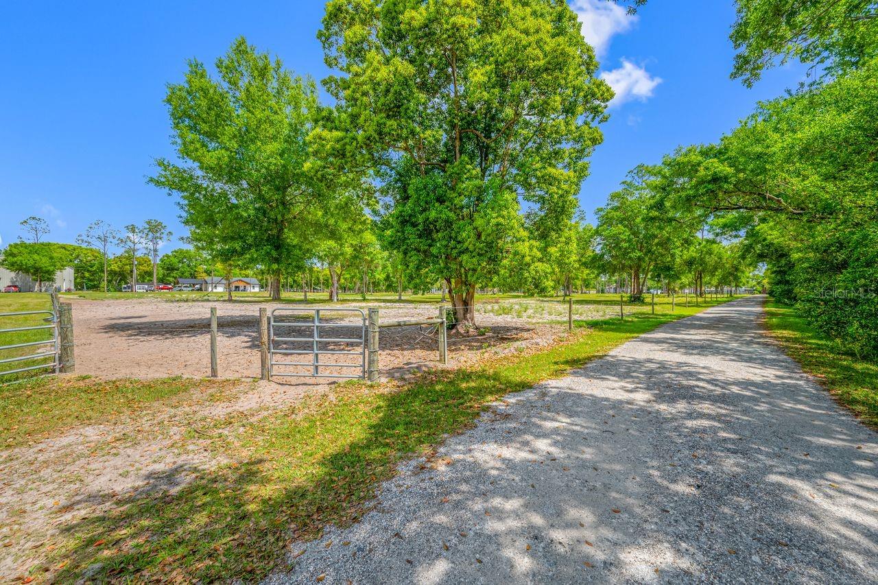 Listing photo id 33 for 00 Hanna Road