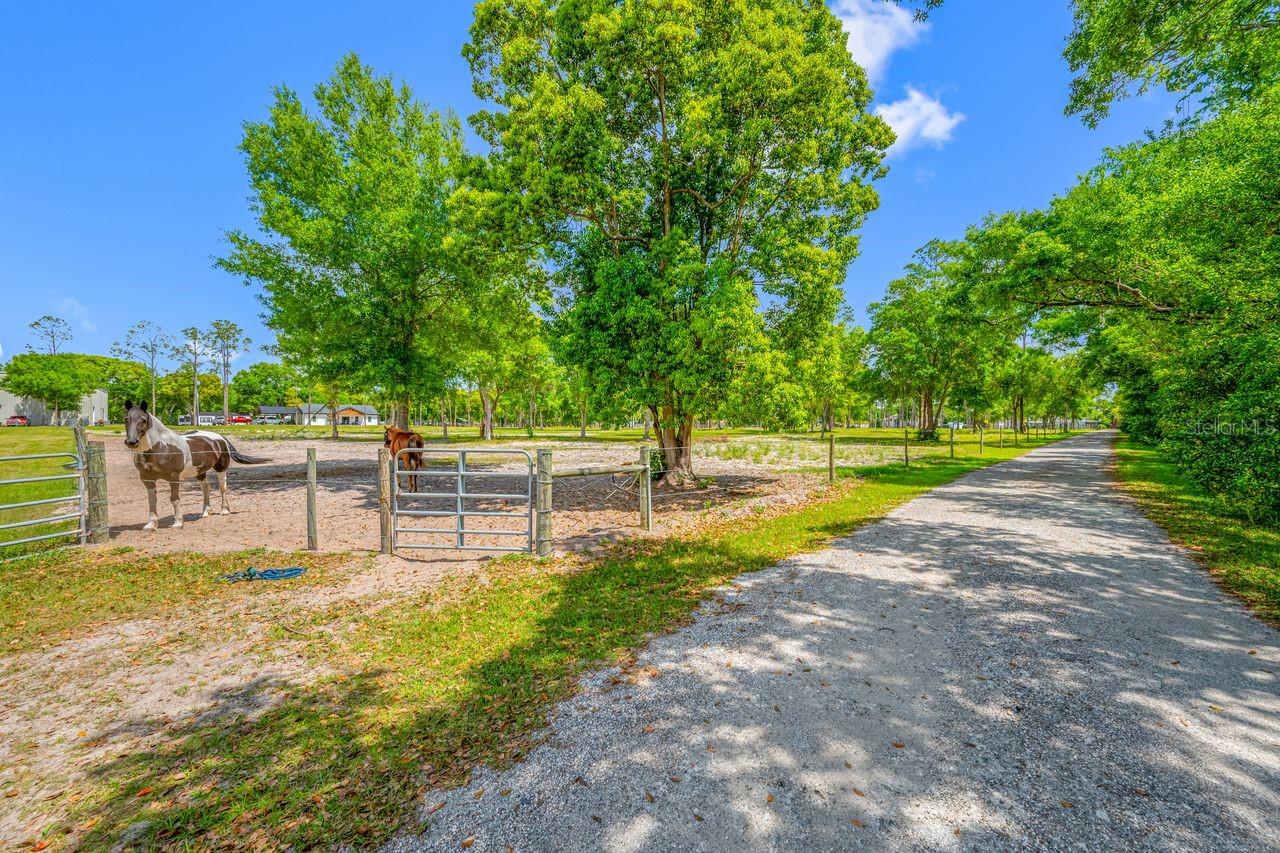 Listing photo id 34 for 00 Hanna Road