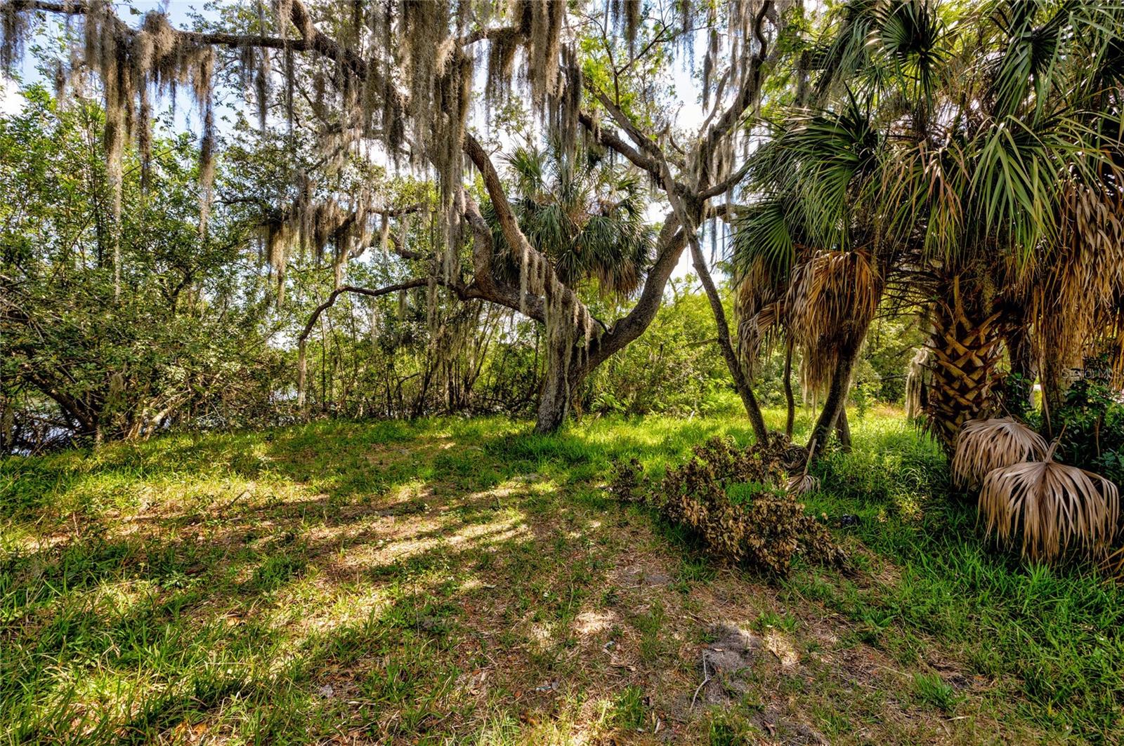 Image 11 of 37 For 102 Dickman Drive Sw