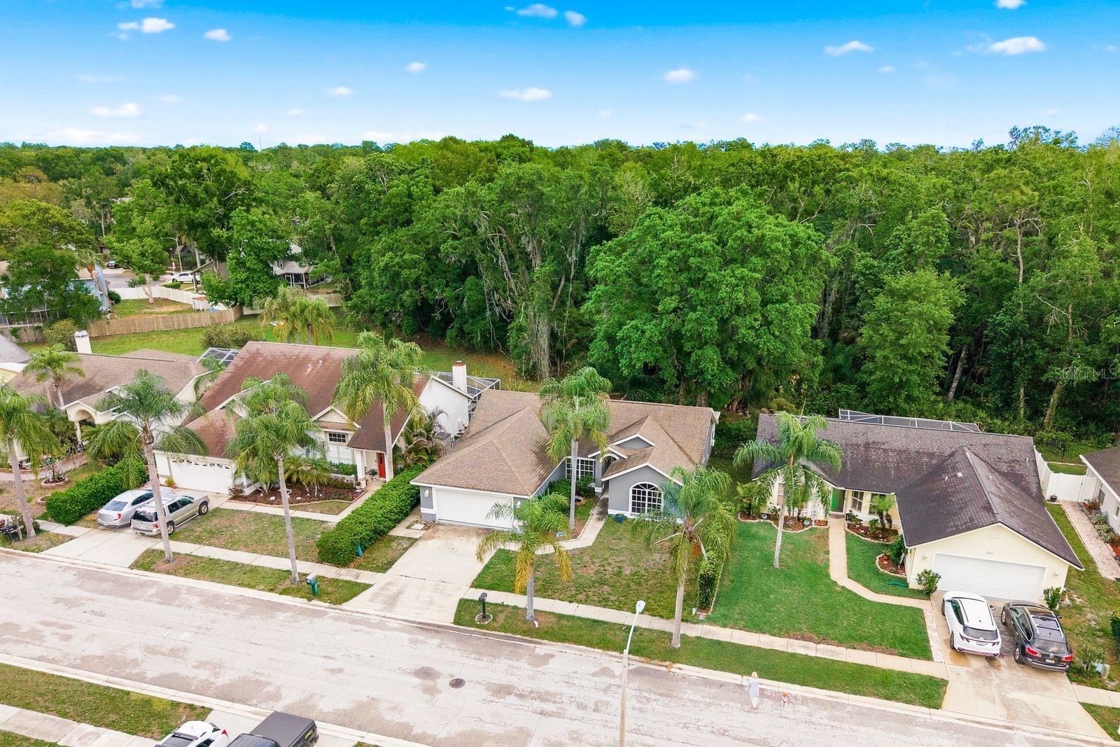 Image 39 of 42 For 7050 Woodibis Drive