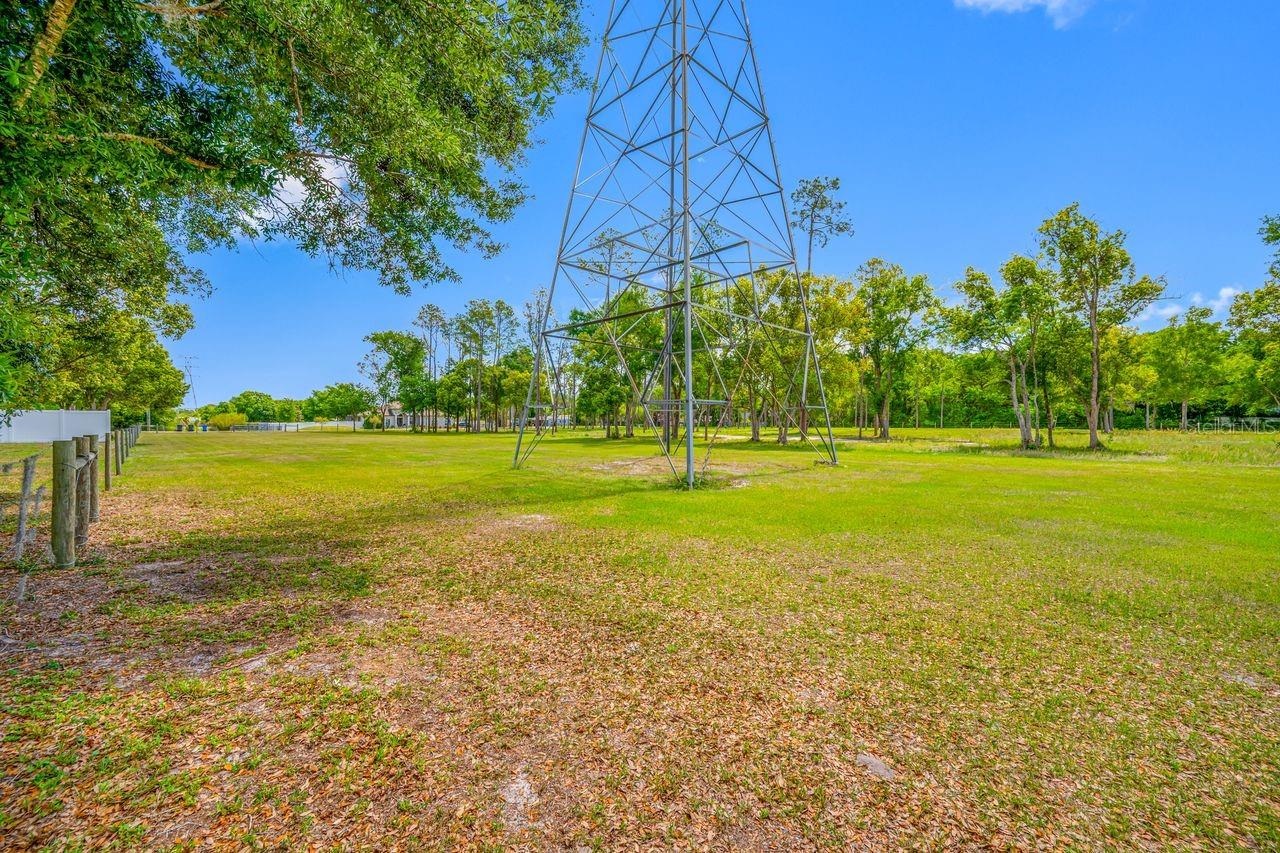 Listing photo id 24 for 0 Hanna Road