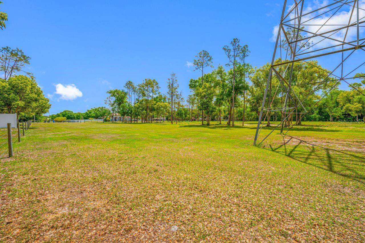 Listing photo id 25 for 0 Hanna Road