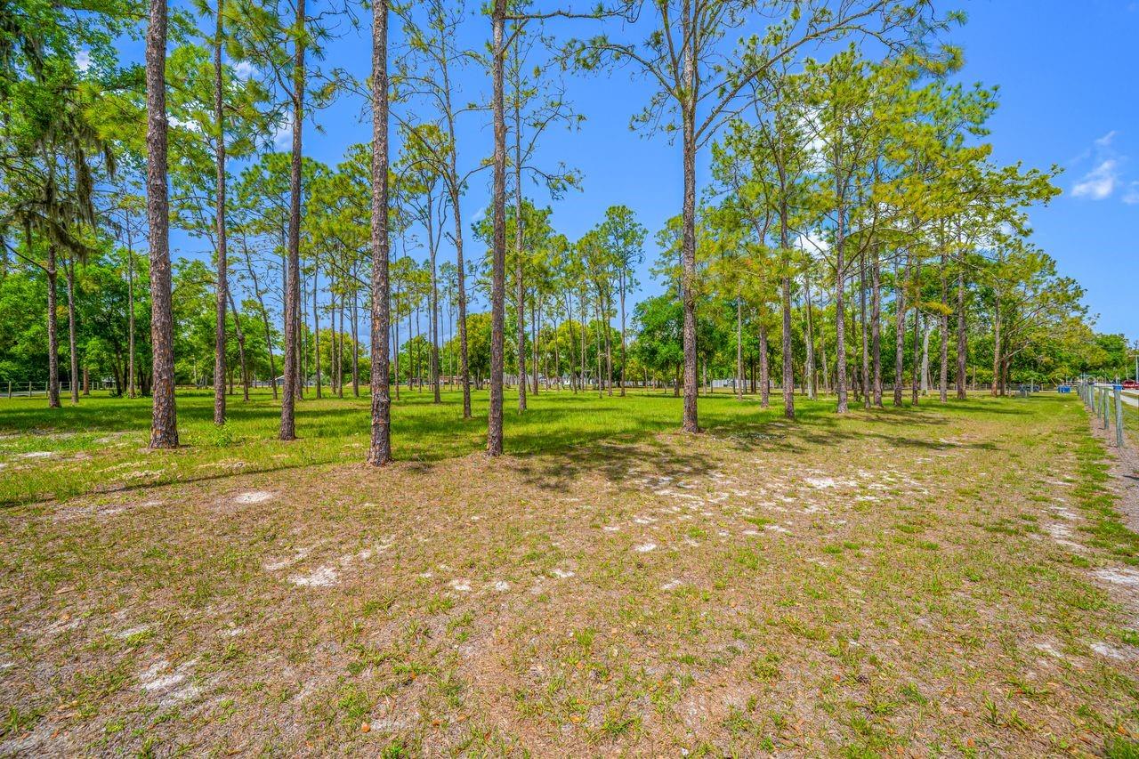 Listing photo id 27 for 0 Hanna Road