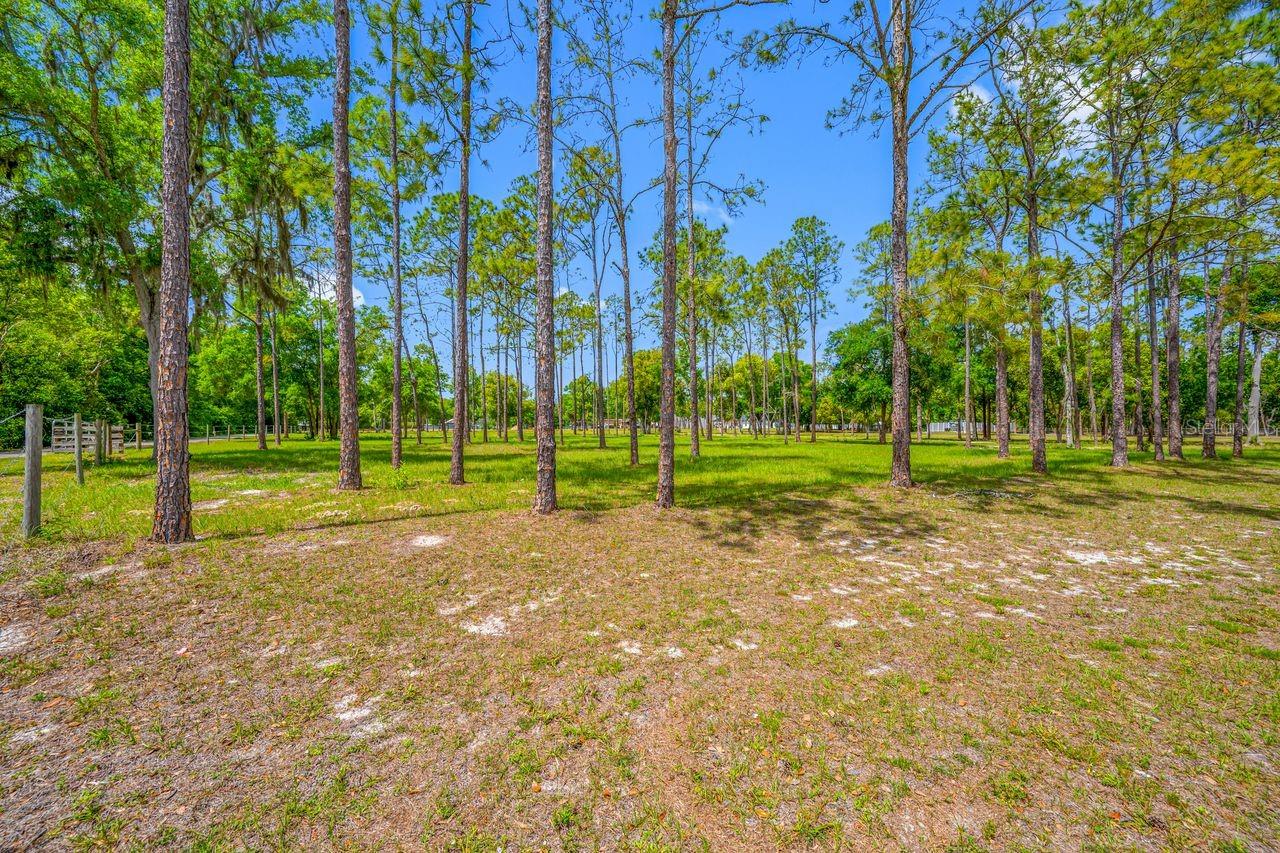 Listing photo id 28 for 0 Hanna Road