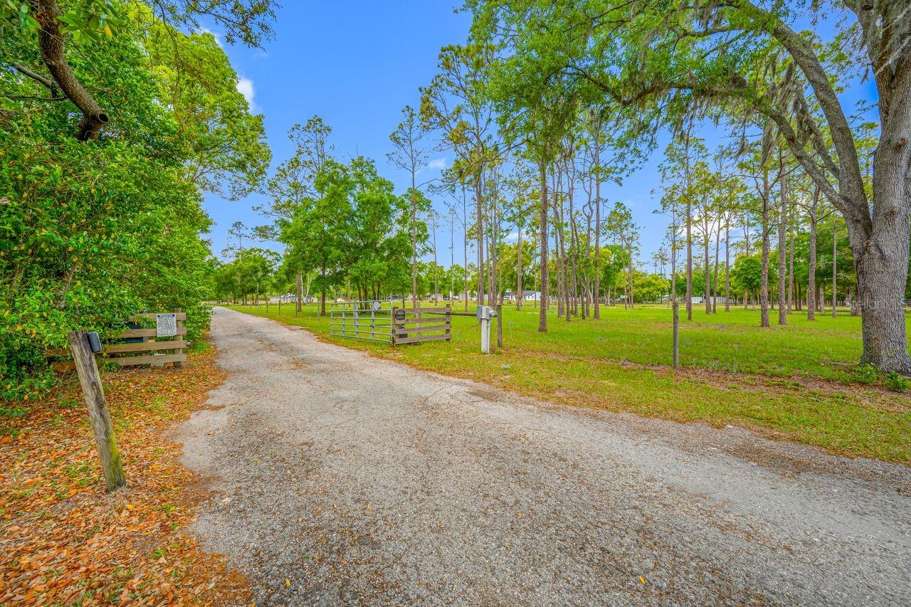 Listing photo id 36 for 0 Hanna Road