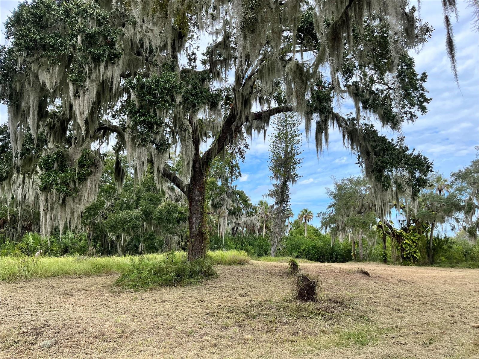 Image 4 of 9 For 6715 16th Avenue E